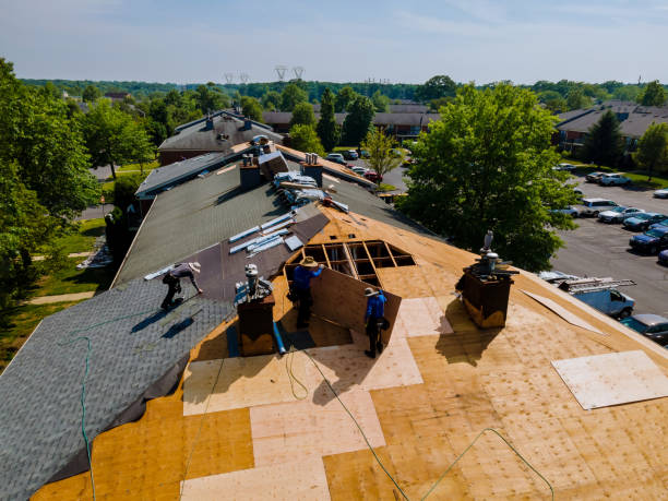 Trusted Emergency Roof Repair service in Todd, NC - Brentwood Metal Roofing